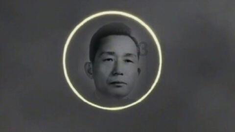 企业家共话自贸港高质量发展新机遇