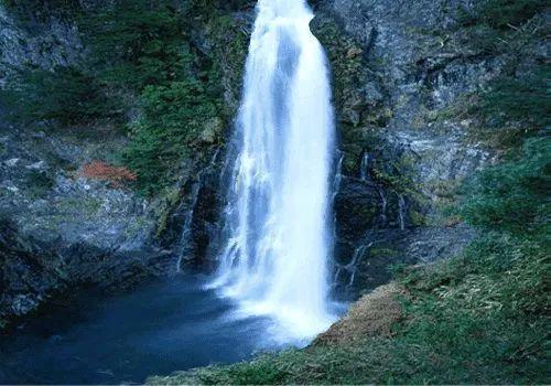 探索家里卫生间的厕所地漏漏水了,该怎么处理能够永除后患?话题——家里卫生间的厕所地漏漏水了,该怎么处理能够永除后患?红迪网平台