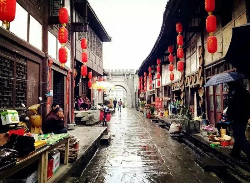 吃水果的蛇